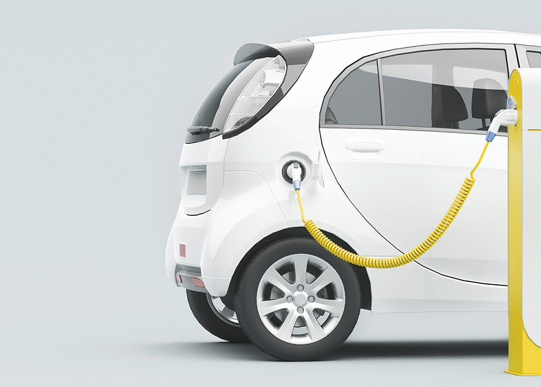 Zero Emissions Vehicle (ZEV) Subsidy