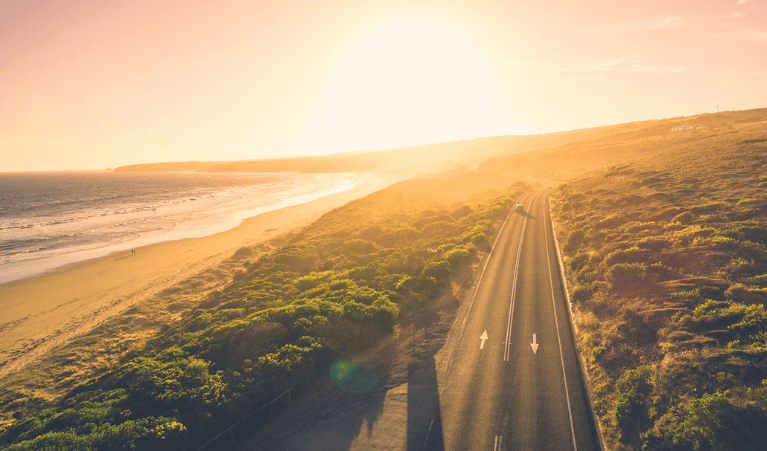 sunset on an ocean road with green trees